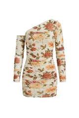 Yasmin Dress in Rose Print