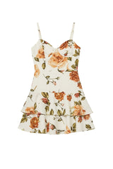 Fete Dress in Rose Print