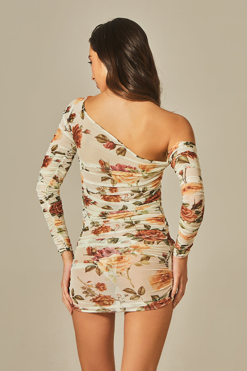 Yasmin Dress in Rose Print